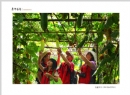 甄锦超“葵乡善影”摄影作品欣赏(45)_在线影展的作品